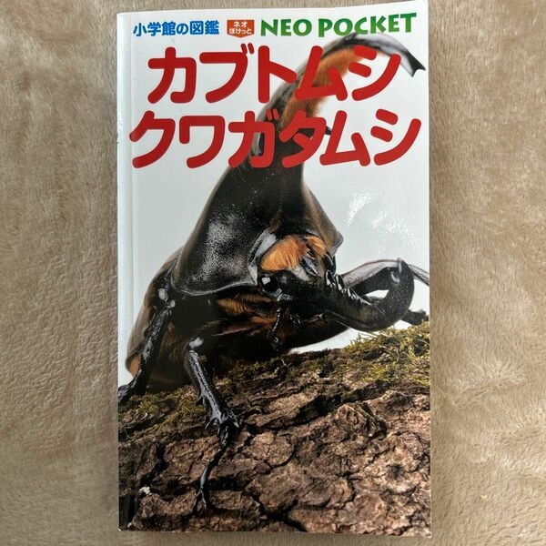 小学館ネオポケット　カブトムシクワガタムシ