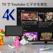 Switch ドック Switch 多機能変換アダプター YouTube動画再生対応 USB-C 100W 急速_画像7