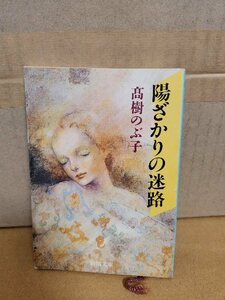 髙樹のぶ子『陽ざかりの迷路』新潮文庫　汚れあり