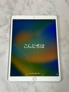 iPad Air 3世代 シルバー 256GB Wi-Fiモデル sku12