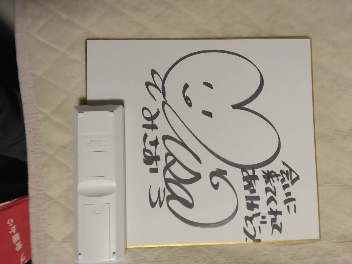 Misao (gravure idol) autographed color paper, Celebrity Goods, sign