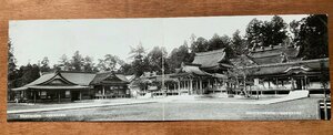 FF-9662 ■送料込■ 滋賀県 官幣大社多賀神社 2枚 パノラマ 神社 寺 宗教 庭 建築物 建物 風景 灯籠 絵葉書 古葉書 写真 古写真/くNAら