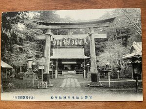 FF-8720 ■送料込■ 埼玉県 官幣大社 氷川神社 拝殿 神社 寺 宗教 寺院 建築物 風景 手紙 菊切手 鳥居 絵葉書 古葉書 写真 古写真/くNAら