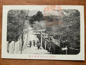 FF-8767 ■送料込■ 香川県 讃岐 金刀比羅 桜馬場 女性 着物 鳥居 桜 花見 神社 寺 宗教 風景 レトロ 絵葉書 古葉書 写真 古写真/くNAら