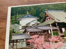 FF-8788 ■送料込■ 山梨県 甲州身延山 御眞骨堂 桜 神社 寺 宗教 寺院 風景 建築物 石垣 レトロ 絵葉書 写真 古葉書 古写真/くNAら_画像4