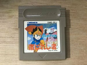 UU-1452 ■送料込■ 選ばれし者 SELECTION RPG ロールプレイング ゲームボーイ GAME BOY ゲーム ソフト /くKOら