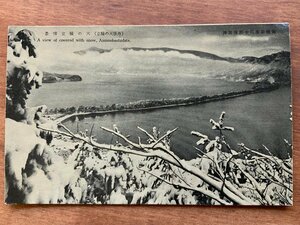 FF-9499 ■送料込■ 京都府 丹後 天橋立 天橋立雪景 雪景色 風景 名所 橋 神社 寺 宗教 観光 レトロ 絵葉書 古葉書 写真 古写真/くNAら