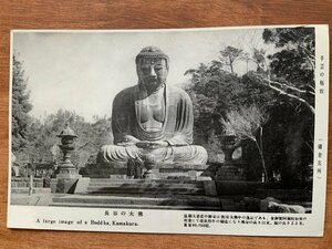 FF-9541 ■送料込■ 神奈川県 鎌倉市 長谷の大仏 仏像 鎌倉大仏 神社 寺 宗教 寺院 名所 歴史 風景 人 絵葉書 古葉書 写真 古写真/くNAら