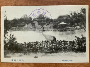 FF-9513 ■送料込■ 岡山県 岡山後楽園 鳥城の遠望 タンチョウ 鶴 鳥 日本庭園 造園 庭園 風景 池 絵葉書 古葉書 写真 古写真/くNAら