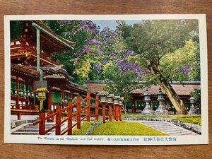 FF-9647 ■送料込■ 奈良県 官幣大社春日神社 中門 東廻廊 藤花 藤 藤の花 神社 寺 宗教 寺院 灯籠 風景 絵葉書 古葉書 写真 古写真/くNAら