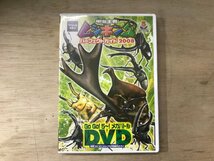 UU-1666 ■送料込■ 甲虫王者ムシキング パーフェクトガイド 2008 カブトムシ クワガタ DVD 音楽 MUSIC ●記録面傷無し/くKOら_画像1