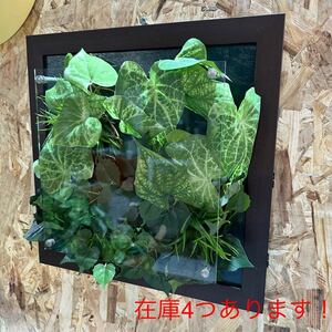 Green Modeウォールグリーン フェイクグリーン　壁掛け　木目フレーム 観葉植物