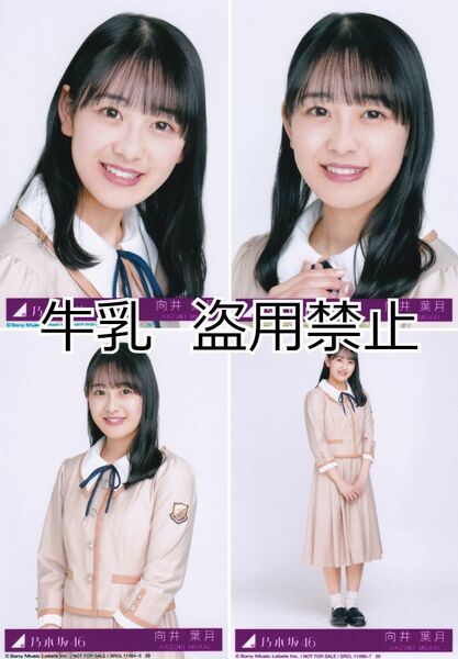 向井葉月 生写真 コンプ 乃木坂46 しあわせの保護色