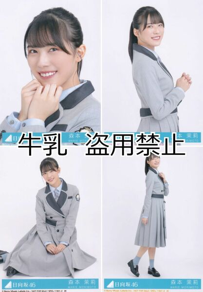 森本茉莉 生写真 コンプ 日向坂46 ってか