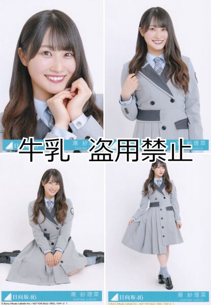 潮紗理菜 生写真 コンプ 日向坂46 ってか