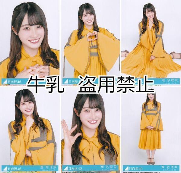 潮紗理菜 生写真 コンプ 日向坂46 ソンナコトナイヨ