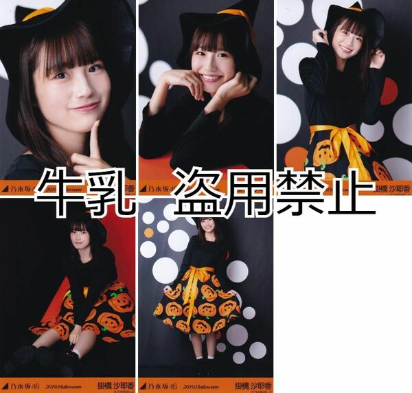 掛橋沙耶香 生写真 コンプ 乃木坂46 ハロウィン 2019