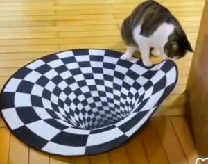 1058 3D錯覚カーペットブラックホールノンスリップ敷物渦の錯視猫犬ペット子ども玄関マット滑り止め視覚体験ラグマット
