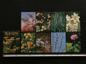 i□*　古い絵葉書　萬葉植物　春日大社　萬葉植物園　奈良県　8枚入　レターカードセット　/B01-③