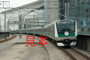 鉄道写真データ（JPEG）、00528229、E233系（ハエ106編成）（埼京線開業30周年ヘッドマーク）JR埼京線、北与野駅、2015.10.29（7283×4861