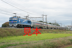 鉄道写真データ（JPEG）、00539071、EF510-512＋カシオペア、JR東北本線、蓮田〜東大宮、2015.11.19、（7360×4912）