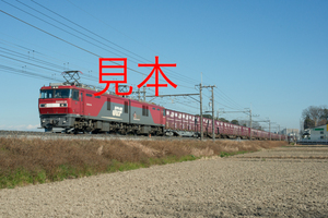 鉄道写真データ（JPEG）、00552451、EH500-56＋貨物、JR東北本線、蓮田〜東大宮、2016.01.07、（7360×4912）