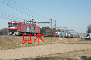 鉄道写真データ（JPEG）、00583916、EH500-62＋貨物、JR東北本線、蓮田〜東大宮、2016.03.03、（7360×4912）