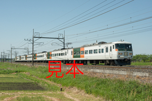 鉄道写真データ（JPEG）、00615655、臨時快速、足利藤まつり3号、185系（OM03編成）、JR東北本線、東大宮〜蓮田、2016.05.05、（7360×4912