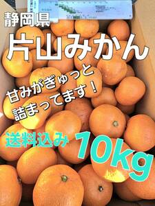 ・片山みかん　訳あり　10㎏　小玉 2S以下