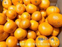 サービス価格　2点　早い者勝ち！人気の　いなか屋　みかん10kg 　柑橘　b品　和歌山県産　有田　フルーツ　家庭用　果物　箱込み　高騰中_画像2