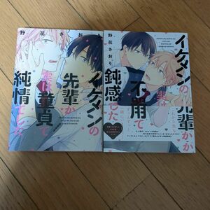 イケメンの先輩が実は童貞で純情でした （Ｂ’ｓ‐ＬＯＶＥＹ　ＣＯＭＩＣＳ） 野花さおり／著