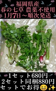 福岡県産 春の七草 七草 新鮮野菜 農家直送 農薬不使用