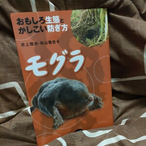 ★★送料無料★★ モグラ　おもしろ生態とかしこい防ぎ方 井上雅央／著　秋山雅世／著