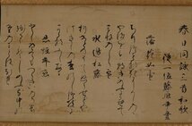 【深和】室町後期◆勧修寺尹豊 料紙春日同詠和歌三首詠草軸装「落花如雪・水辺松藤・思経年恋」真筆（公家 公卿 堂上歌人 書家 書幅 遺墨）_画像2