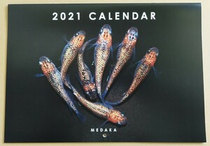 【бесплатная доставка! ] 2021 Daka Calendar A4 Size Snowstone 26