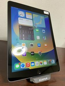 P147 ★4台入荷 美品 iPad 2019 第6世代, 9.7 A10◆32GB Space Gray Wi-Fi+Cell バッテリー97％ MR6Y2 LL/A A1954 充電回数16回 Apple