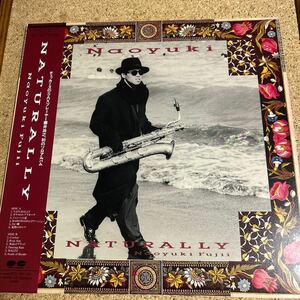 藤井尚之 Naoyuki Fujii / Manhattan NATURALLY 二枚セット / LP レコード