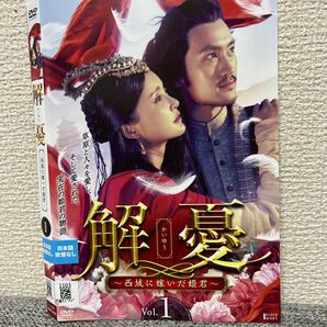 中国ドラマ　解憂DVD【全巻セット】