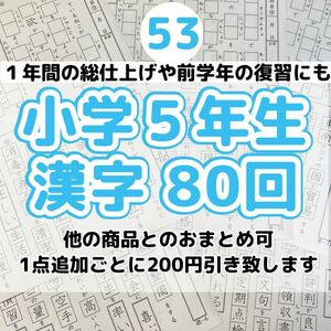 53小学５年生　漢字プリント　ドリル　参考書　教科書　言葉ナビ　国語　練習 慣用句　学研　漢検　馬渕教室家庭教師のトライ