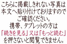 もう二度と出ません！購入4000万！至高の逸品！イラン クム産 手織り シルク 超特大 大判 ペルシャ絨毯 本物 カーペット 4000×3100_画像10