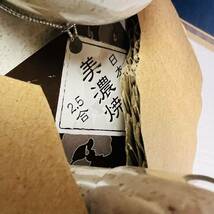 未使用 電気 酒燗器 2.5合美濃焼 陶器製徳利 熱燗器 日本製 DS-25 MSK-251_画像4