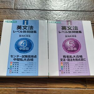 東進ブックス 英文法レベル別問題集中級編4 .上級編5　大学受験 