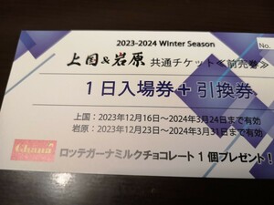 ★☆★☆即日発送可能★　複数枚あり★　上越国際スキー場　岩原スキー場　上国&岩原共通　ナイター付 リフト券 リフト１日券　☆★