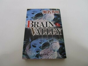 BRAIN VALLEY( сверху ) ( Kadokawa Bunko ) y0601-bb1-ba252872