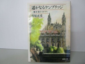 遥かなるケンブリッジ―一数学者のイギリス (新潮文庫) y0601-bb2-ba253130