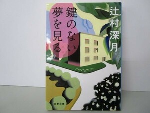 鍵のない夢を見る (文春文庫) y0601-bb5-ba253880