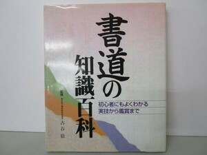 書道の知識百科―初心者にもよくわかる実技から鑑賞まで y0601-bb6-ba254616