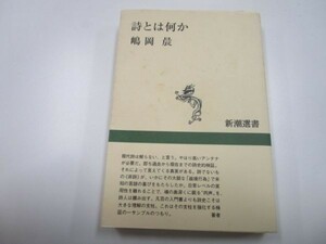 詩とは何か (新潮選書) y0601-ba5-ba255467