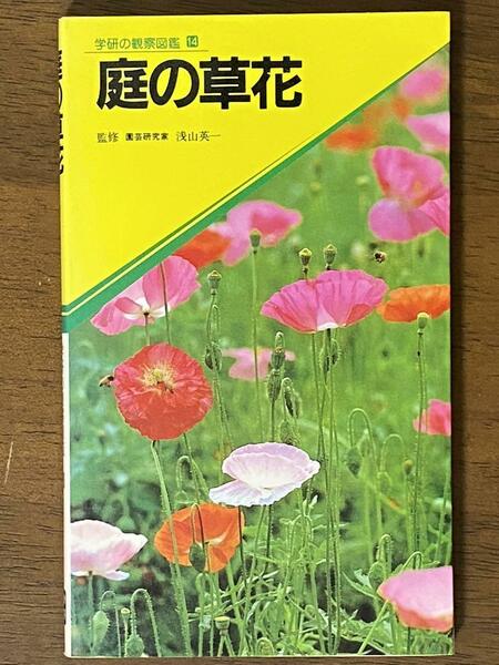 庭の草花 学研の観察図鑑14 ／ 浅山 英一