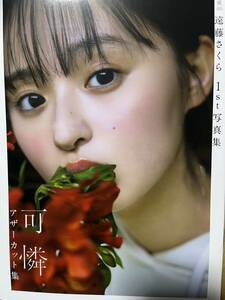 抽プレ当選品「遠藤さくらアザーカットミニブック」1st写真集『可憐』当選品☆乃木坂46☆送料無料